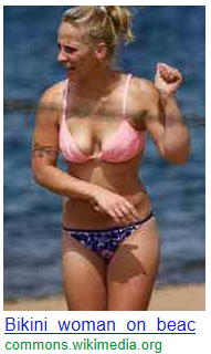 bikini-para.png