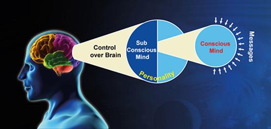 brain    pic-2