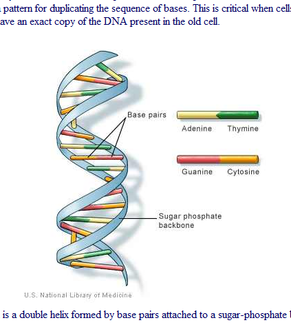 page-dnaimage