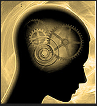 brain 9999 gears falk