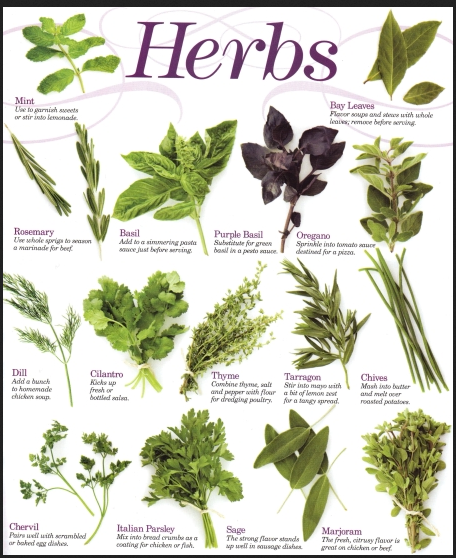 herbs 1